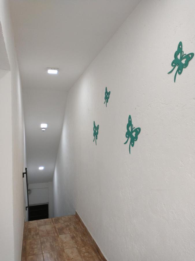Apartament Departamentos Pachamama Tunuyán Zewnętrze zdjęcie